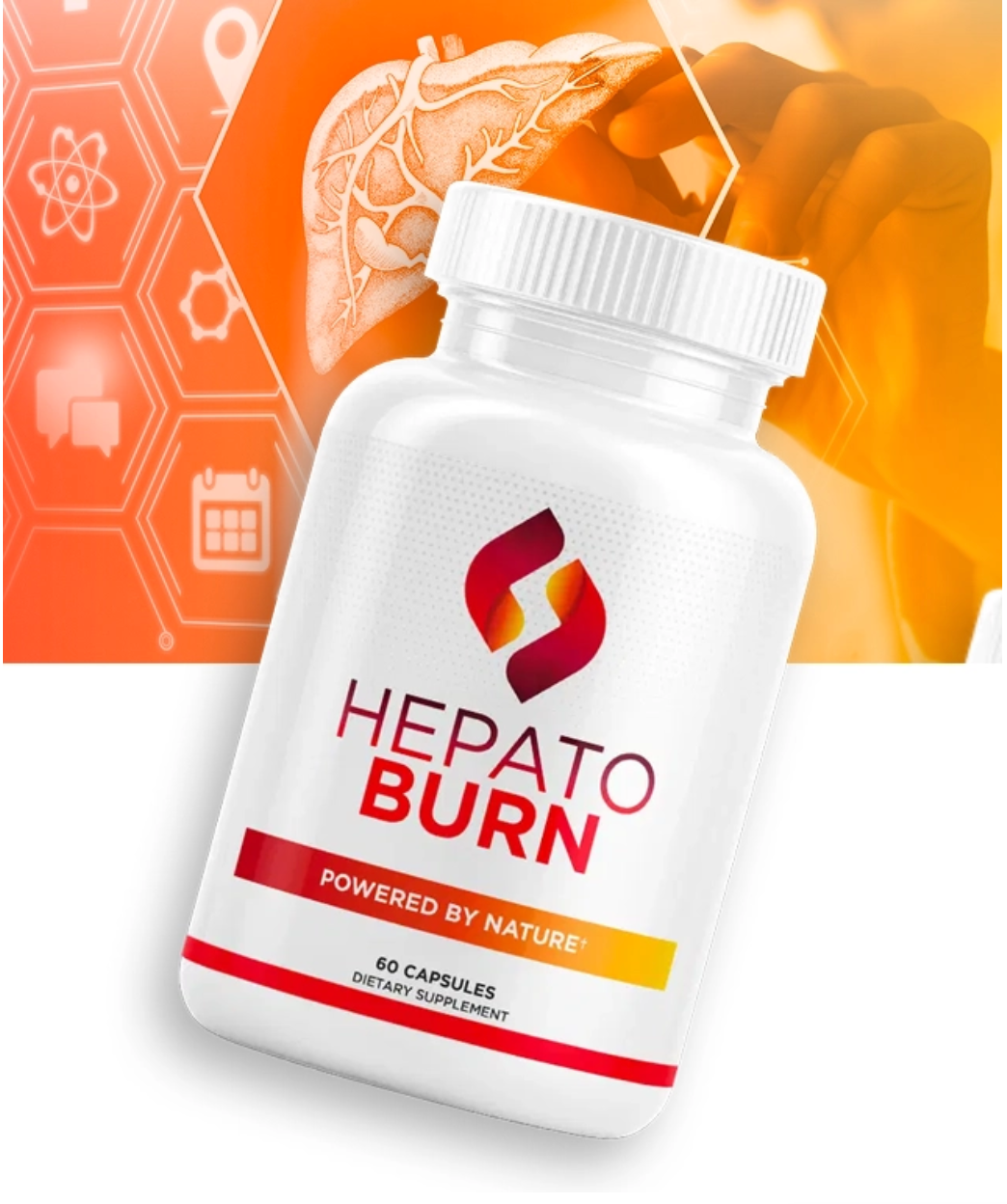 HepatoBurn